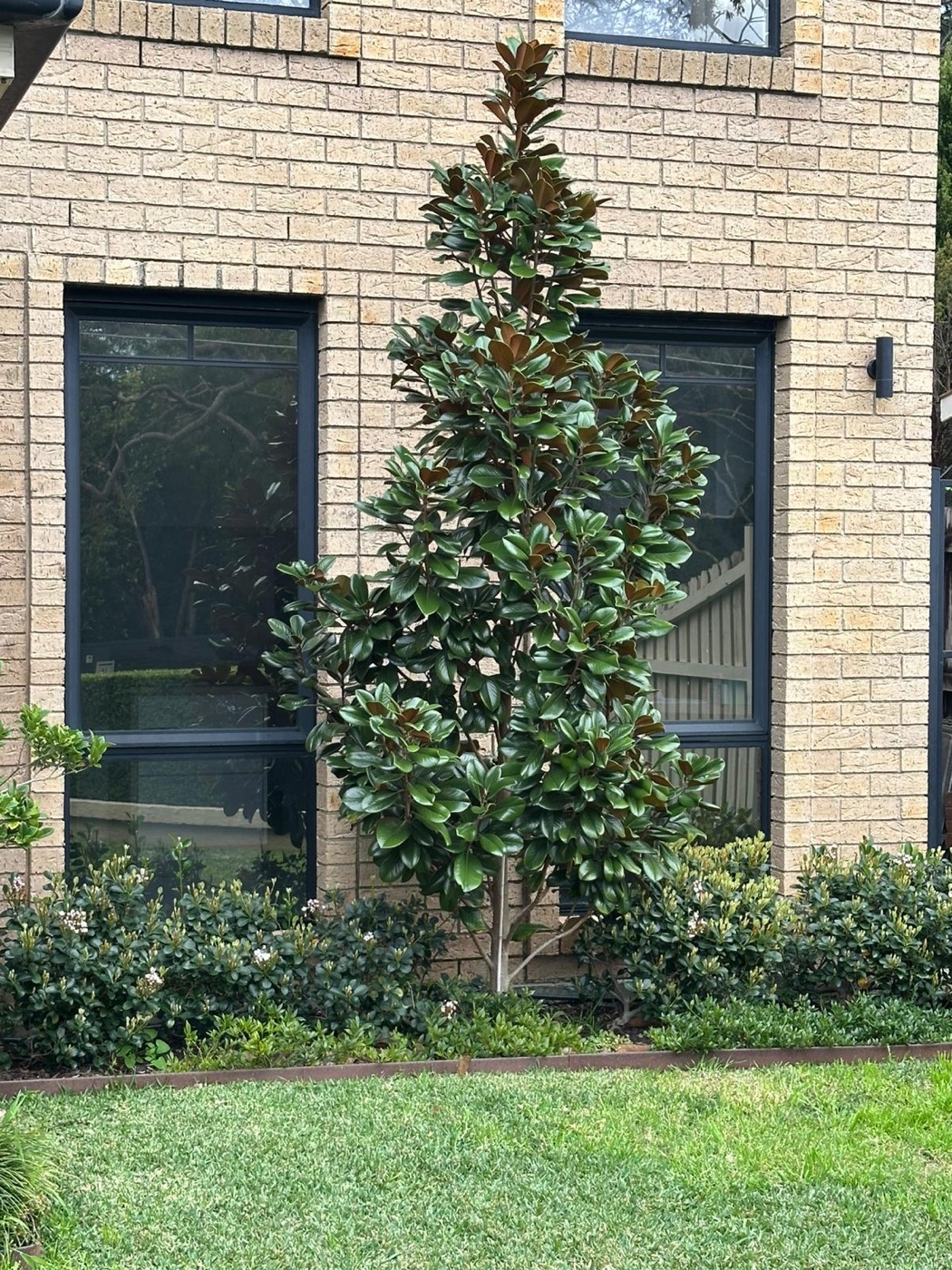 Privacy window film installation by TintCo