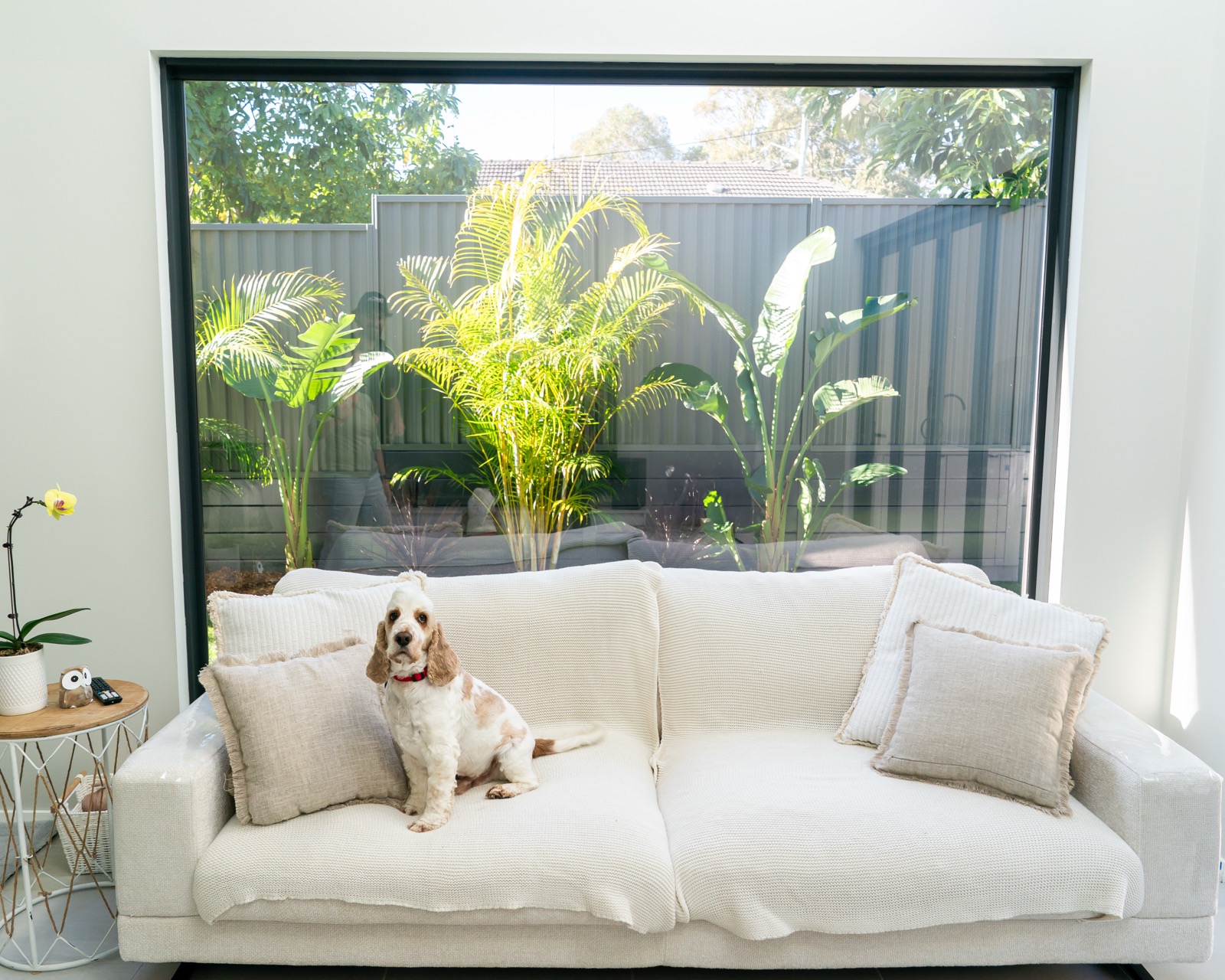 Heat Reduction & Solar Film